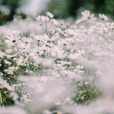 澳门·威斯尼斯wns888入口